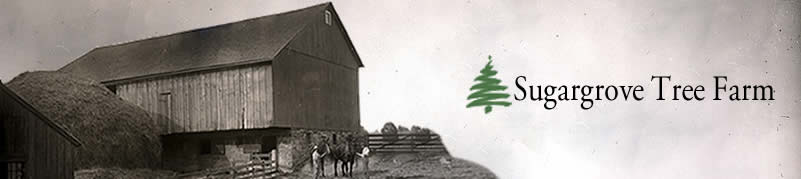 Sugargrove Tree Farm