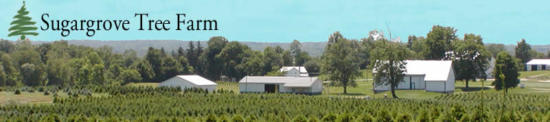 Sugargrove Tree Farm