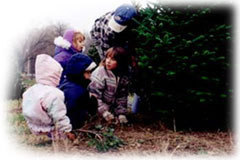 Picking a tree